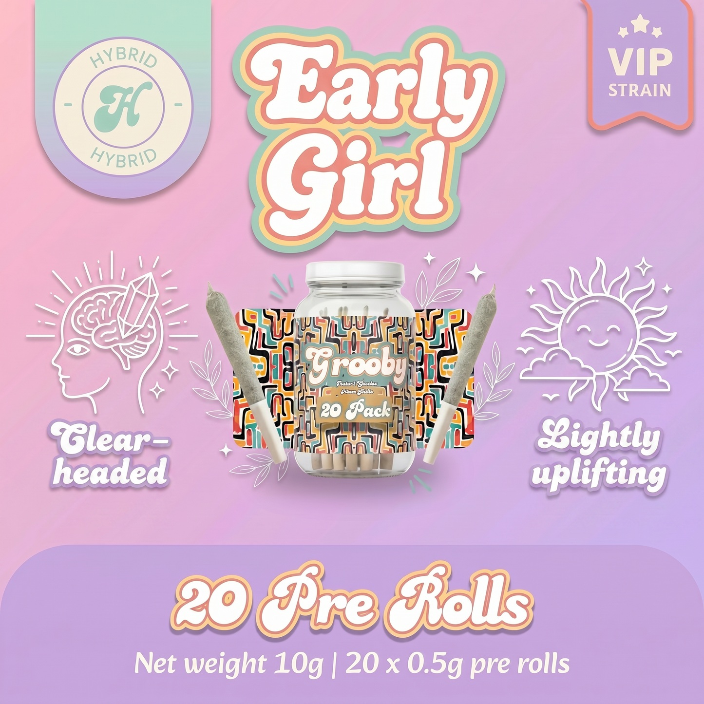 Exclusive 20 Pack of Early Girl
