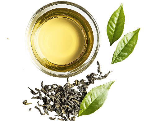 Green Tea Caffeine