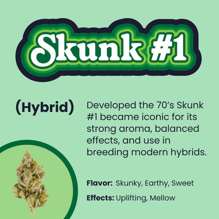 Exclusive 20 Pack Of Grooby Pre Rolls