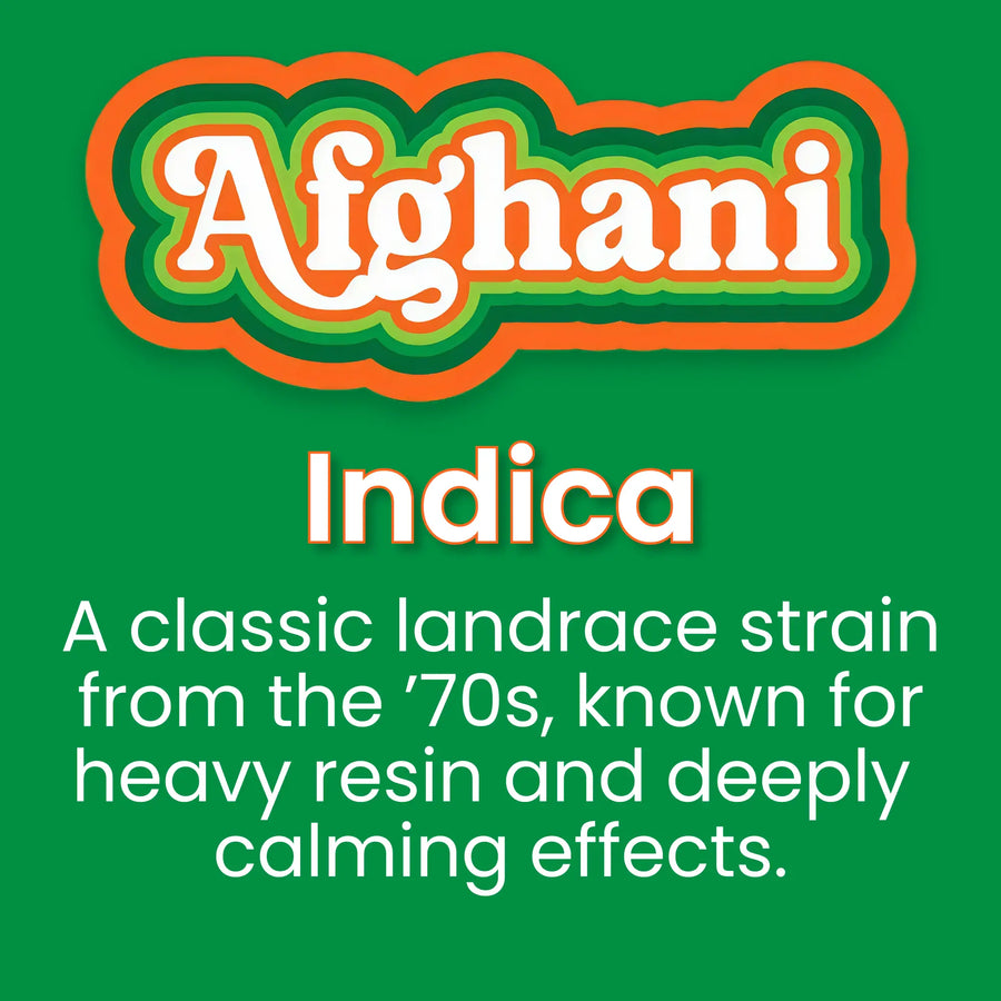 Afghani