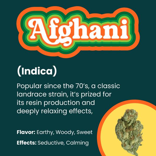 Afgani (Ships 9/14)