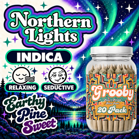 Northern Lights - Exclusive 20 Pack