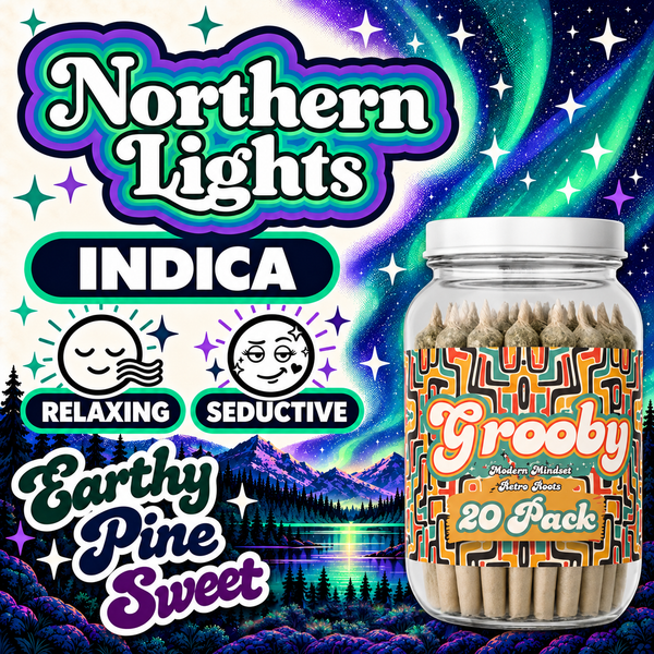 Northern Lights - Exclusive 20 Pack
