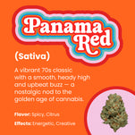 Panama Red (Ships 9/14)