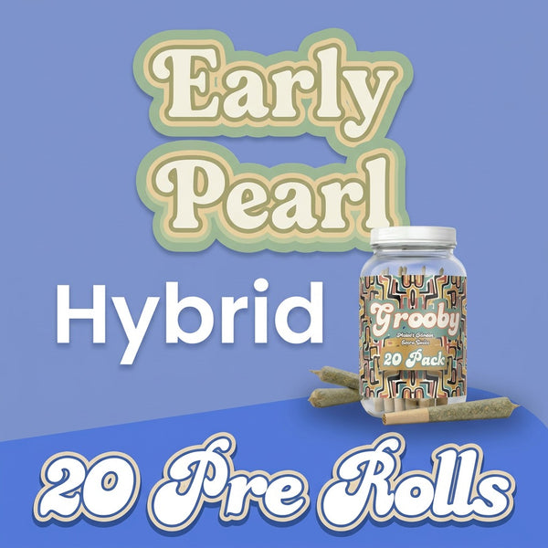 Early Pearl - Exclusive 20 Pack