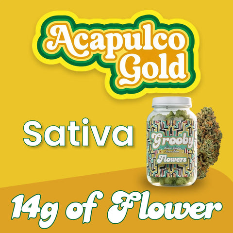 acapulco gold sativa flower jar on yellow background