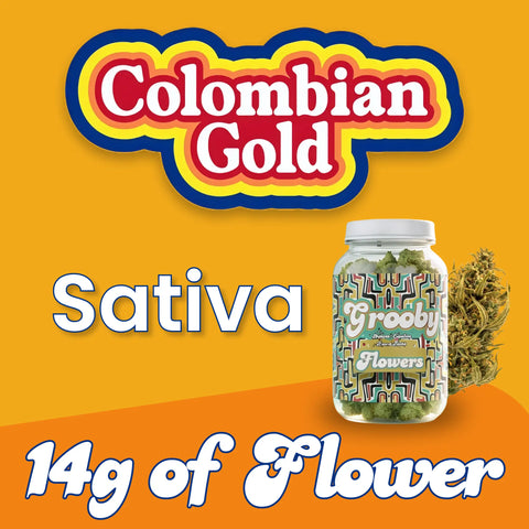 Colombian gold sativa flower jar on orange background 