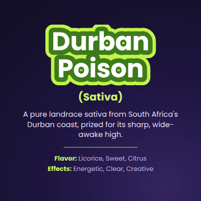 Durban Poison