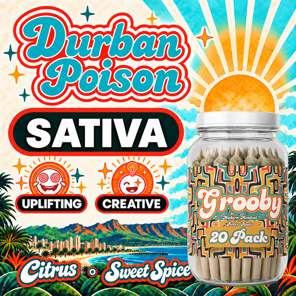 20 Pack of Durban Poison