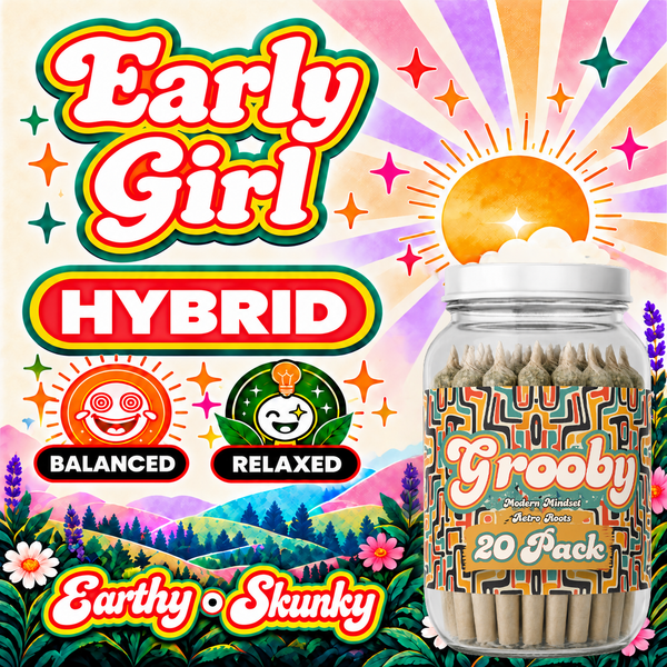 20 Pack of Early Girl