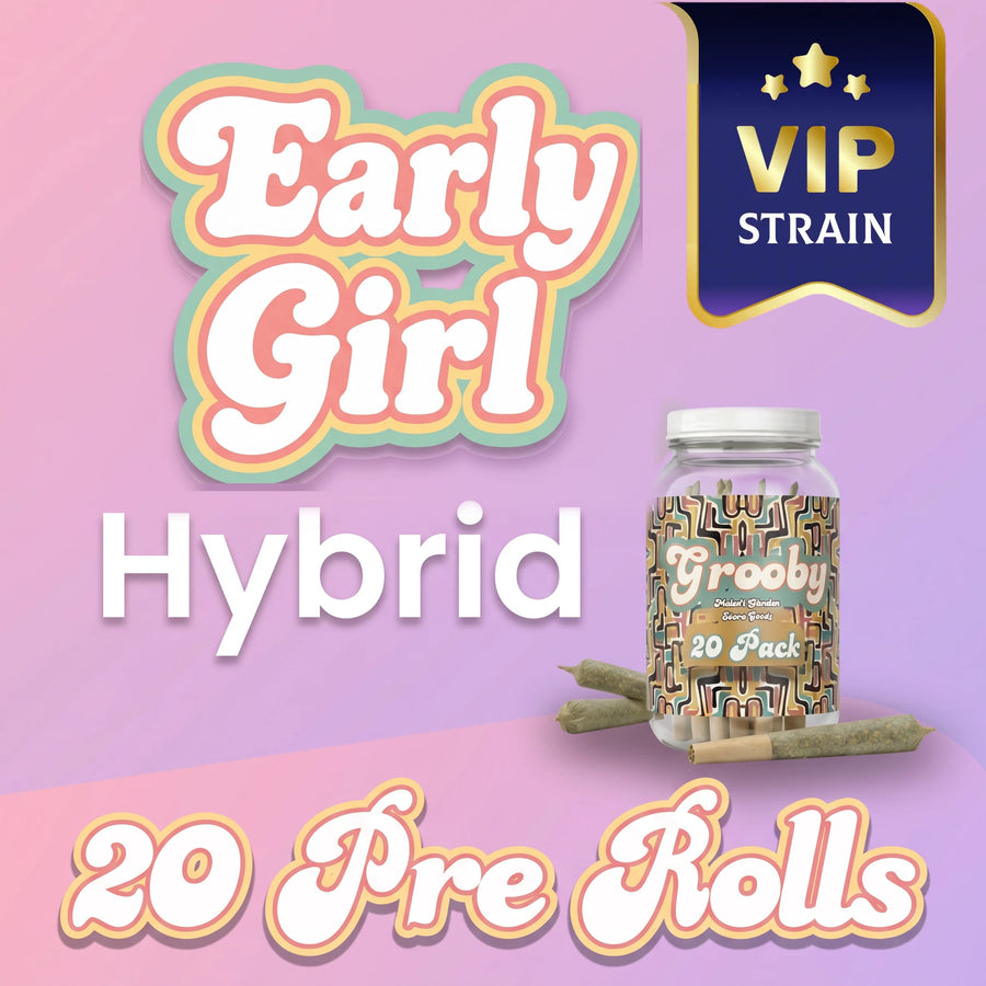 20 Pack of Early Girl