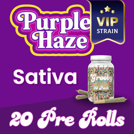 Purple Haze - Exclusive 20 Pack