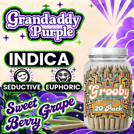 Grandaddy Purple - 20 Pack