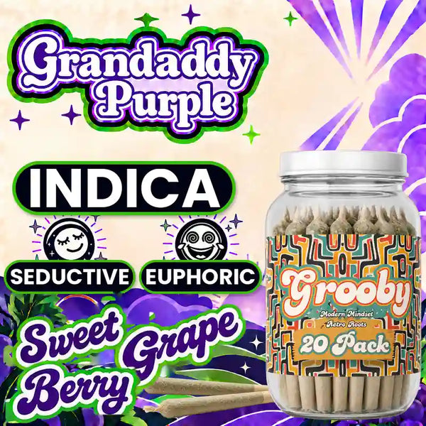 Grandaddy Purple - 20 Pack