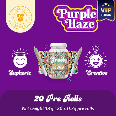 Purple Haze - Exclusive 20 Pack