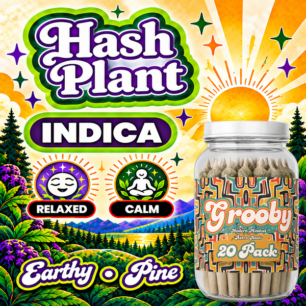 20 Pack of Hash Plant Pre Rolls