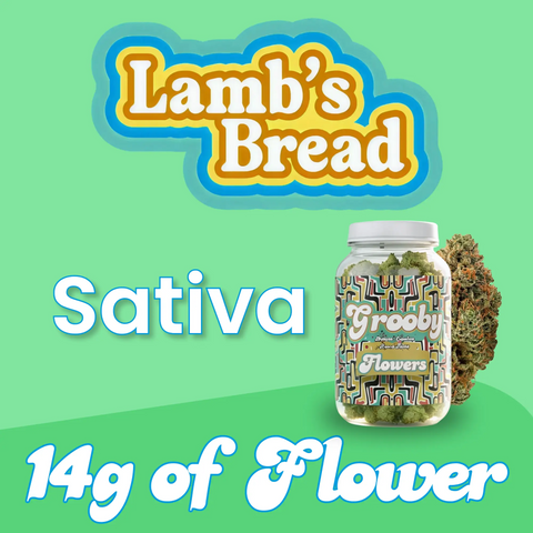 lamb's bread sativa flower jar on mint background