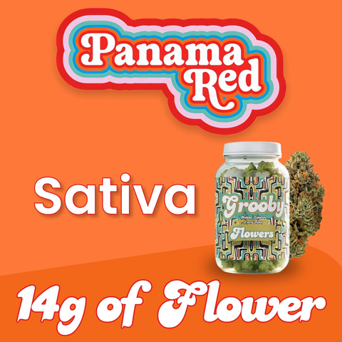 panama red sativa flower jar on orange background